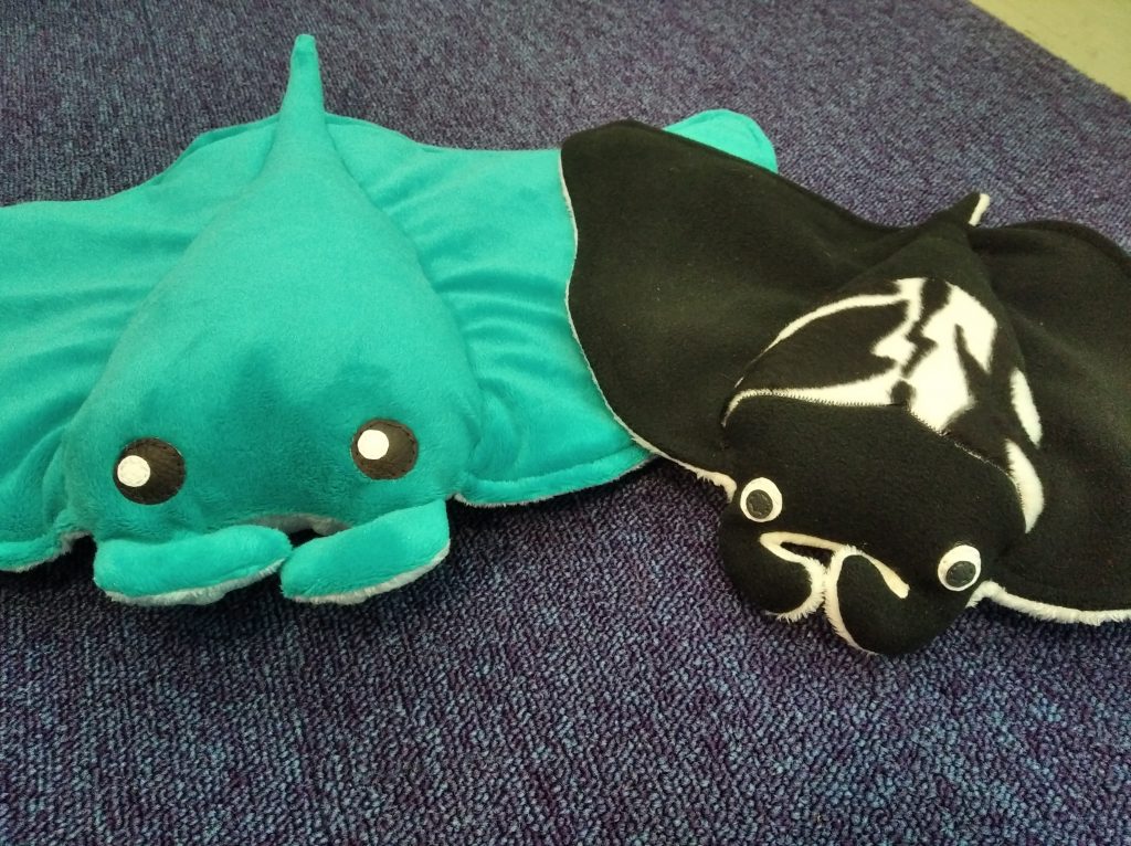 Raies mantas